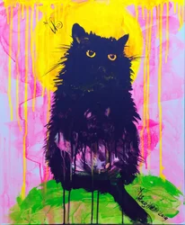 Mystieke zwarte kat