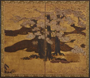 Bloeiende kersenbomen, Edo-periode, ca.1580-1635