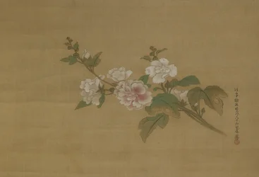 Een tak van bloeiende hibiscus, Edo-periode (kleur op zijde)