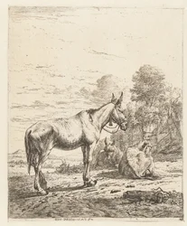 Muilezel met bel aan halster en twee liggende ezels