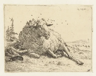 Schaap bij een boomstam