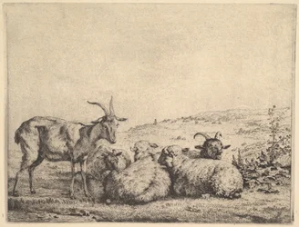 Twee Geiten en Drie Schapen
