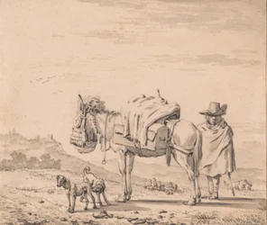 Man met muilezel