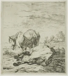 Twee Paarden
