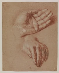 Studies van twee handen