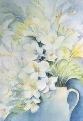 Freesia, Aurora en Ballerina in een Witte Kan