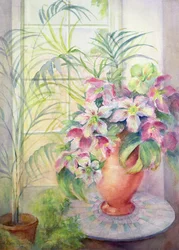 Helleborus op een Italiaanse tafel