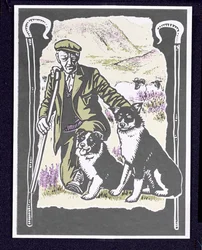 Herderjongen van de heuvels