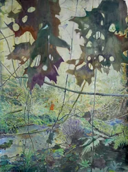 Herfst in Woodland Creek