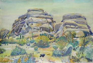Landschap van Joshua Tree