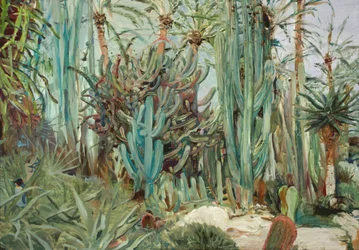 Levendige cactustuin