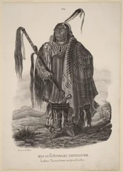 Een Minitari-indiaan