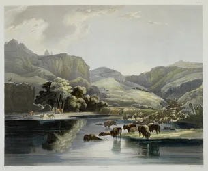 Kuddes Bizons en Elanden aan de Boven-Missouri, plaat 47 uit Volume 2 van 