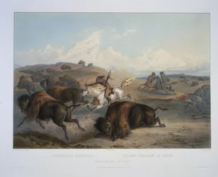 Indianen die op de bison jagen