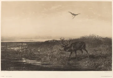 De Avond. Hert en Reigers