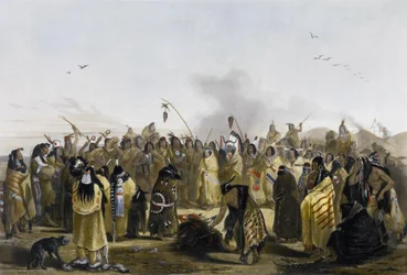 Hoofdhuiddans van de Minitarres