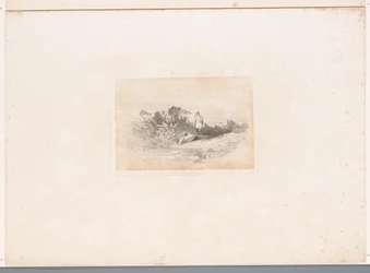 Twee reigers aan de waterkant