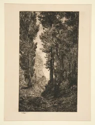 Stijgende weg in Auvers