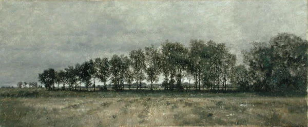 Aan de Rand van het Bos