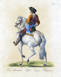 Het Spaanse paard (print)