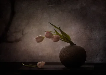 Elegante stemmige tulpen