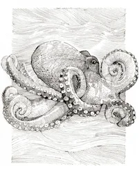 Zwart-witte lijntekening van een octopus