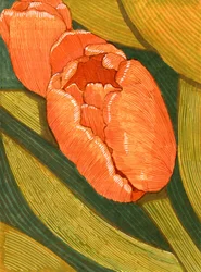 Heldere oranje tulpen met groene bladlijntekening