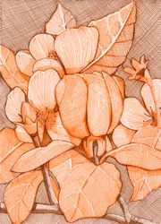 Gearceerde oranje bloesems