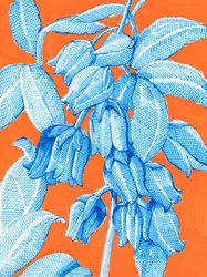 Levendige blauwe botanische motieven