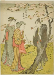 Toei Heuvel (Toeizan), uit de serie 
