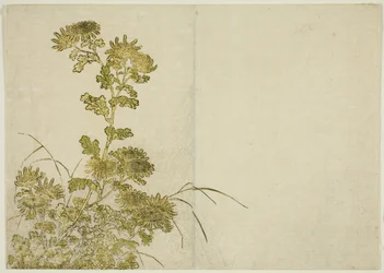 Winterbloemen: Chrysanten, uit het boek "Spiegel van mooie vrouwen van de plezierwijken (Seiro bijin awase sugata kagami)," deel 1
