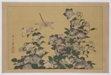 Klokjesbloem en libel