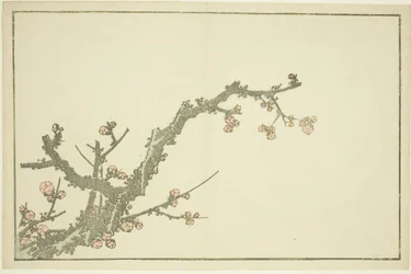 Bloeiende pruimenboom, uit Het prentenboek van realistische schilderijen van Hokusai (Hokusai shashin gafu), c.1814