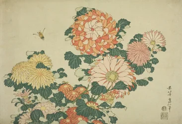 Chrysanten en bij, uit een ongetitelde serie van grote bloemen, ca.1833-34