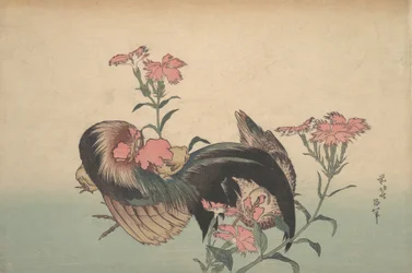 Haan, hen en nadeshiko-anjer, Dianthus superbus.
