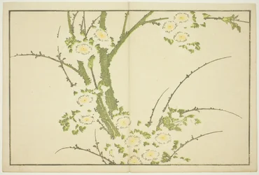 Bloemen, uit Het prentenboek van realistische schilderijen van Hokusai (Hokusai shashin gafu)