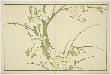 Bloemen, uit Het Prentenboek van Realistische Schilderijen van Hokusai (Hokusai shashin gafu), ca. 1814