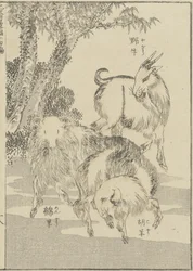 Geiten, ca. 1840 (houtsnede)