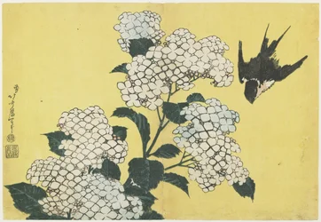 Hortensia en Zwaluw, c. 1832
