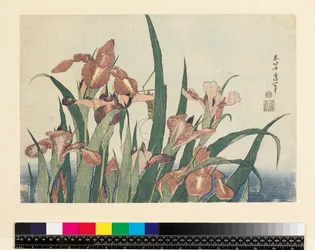 Iris en sprinkhaan, uitgegeven door Nishimura Eijudo, c.1832