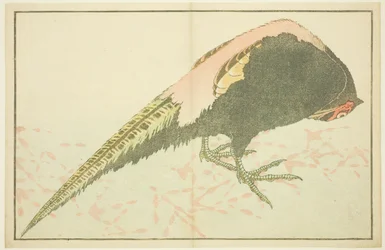 Mannelijke Fazant, uit Het Prentenboek van Realistische Schilderijen van Hokusai (Hokusai shashin gafu)