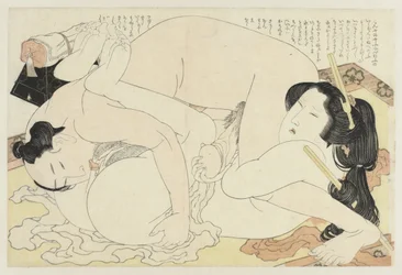 Man en vrouw de liefde bedrijvend op vloerkleed