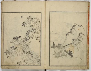 Willekeurige schetsen van Hokusai