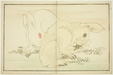 Twee Konijnen, uit Het Prentenboek van Realistische Schilderijen van Hokusai (Hokusai shashin gafu)
