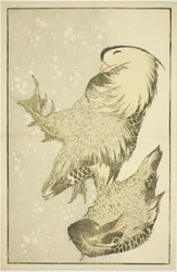 Twee watervogels, uit Het prentenboek van realistische schilderijen van Hokusai