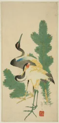 Pijnboom en kraanvogels