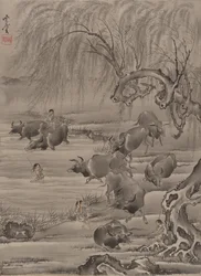 Buffel en herder