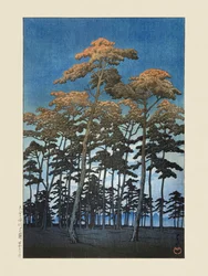 Hikawa-park in Omiya (1930) door Kawase Hasui en Watanabe Shozaburo