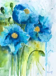 Blauwe papavers in aquarel