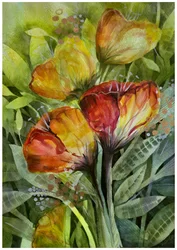 Kleurrijke bloemen in de tuin